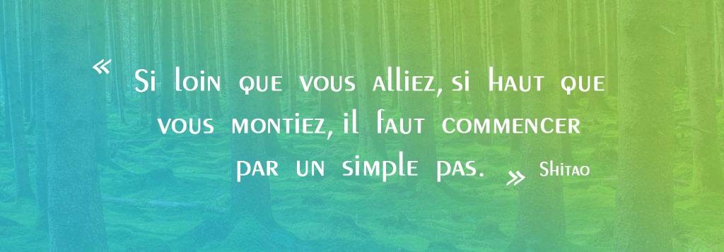 si loin que vous alliez, si haut que vous montiez, il faut commencer par un simple pas. shitao
